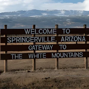Fine jewelry store near Springerville