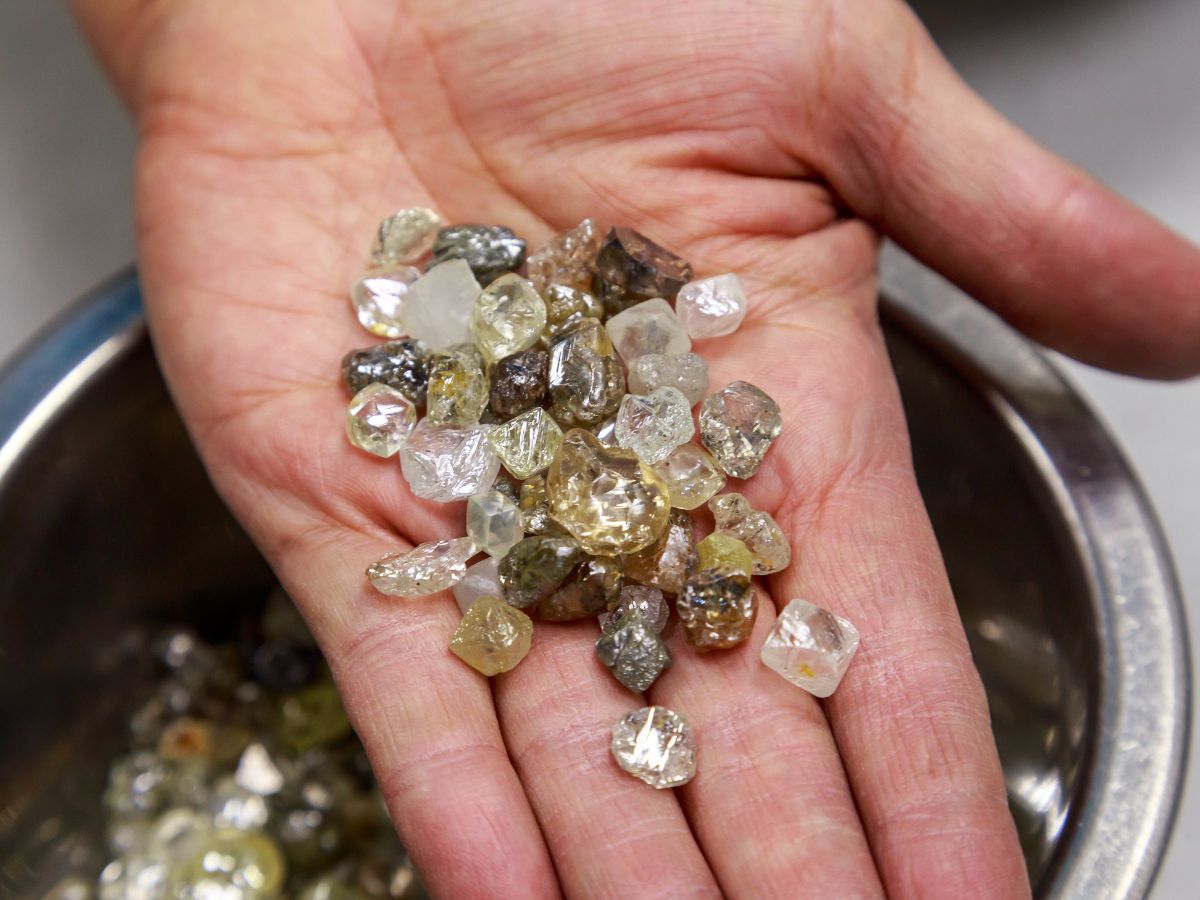 Hand holding raw diamonds.