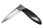 Santa Fe StoneWorks Dinosaur Bone Kershaw Knife