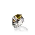 16-r1884-arrivo-ss-pr-silver-ring-1_11359aa7-2671-439d-83a3-a1975104516a.jpg