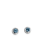 22-e2737ss-antigua-ss-bt-silver-earrings-1.jpg