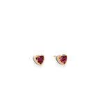 24-e3074-arrivo-ss-rg-silver-earrings-1.jpg