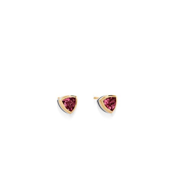 24-e3074-arrivo-ss-rg-silver-earrings-1.jpg