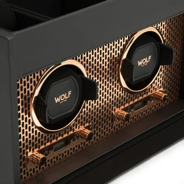 Axis Double Watch Winder Storage