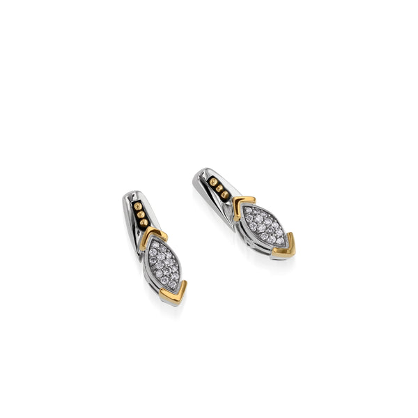 el-eelixir1-r-elixir-ss-dia-silver-earrings-1.jpg