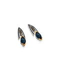 el-eelixir2f-elixir-ss-lbt-silver-earrings-1.jpg