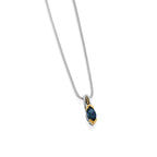 el-pelixir3f-elixir-ss-lbt-silver-pendant-1.jpg