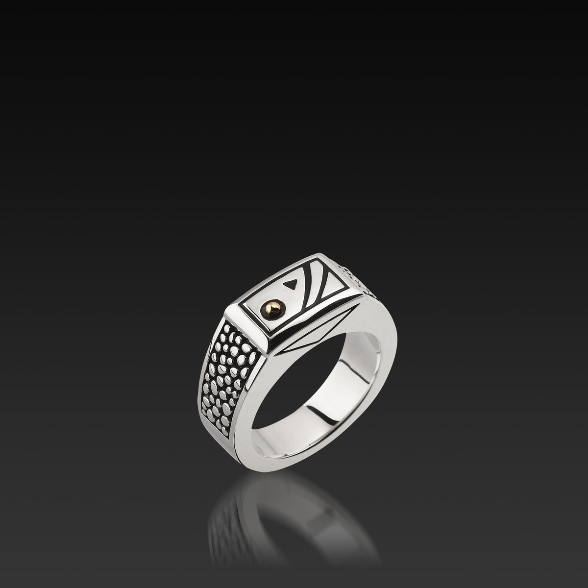 el-rmatrix1-mens-matrix-ss-silver-ring-1.jpg