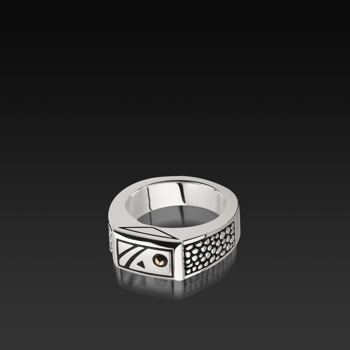 el-rmatrix1-mens-matrix-ss-silver-ring-2.jpg