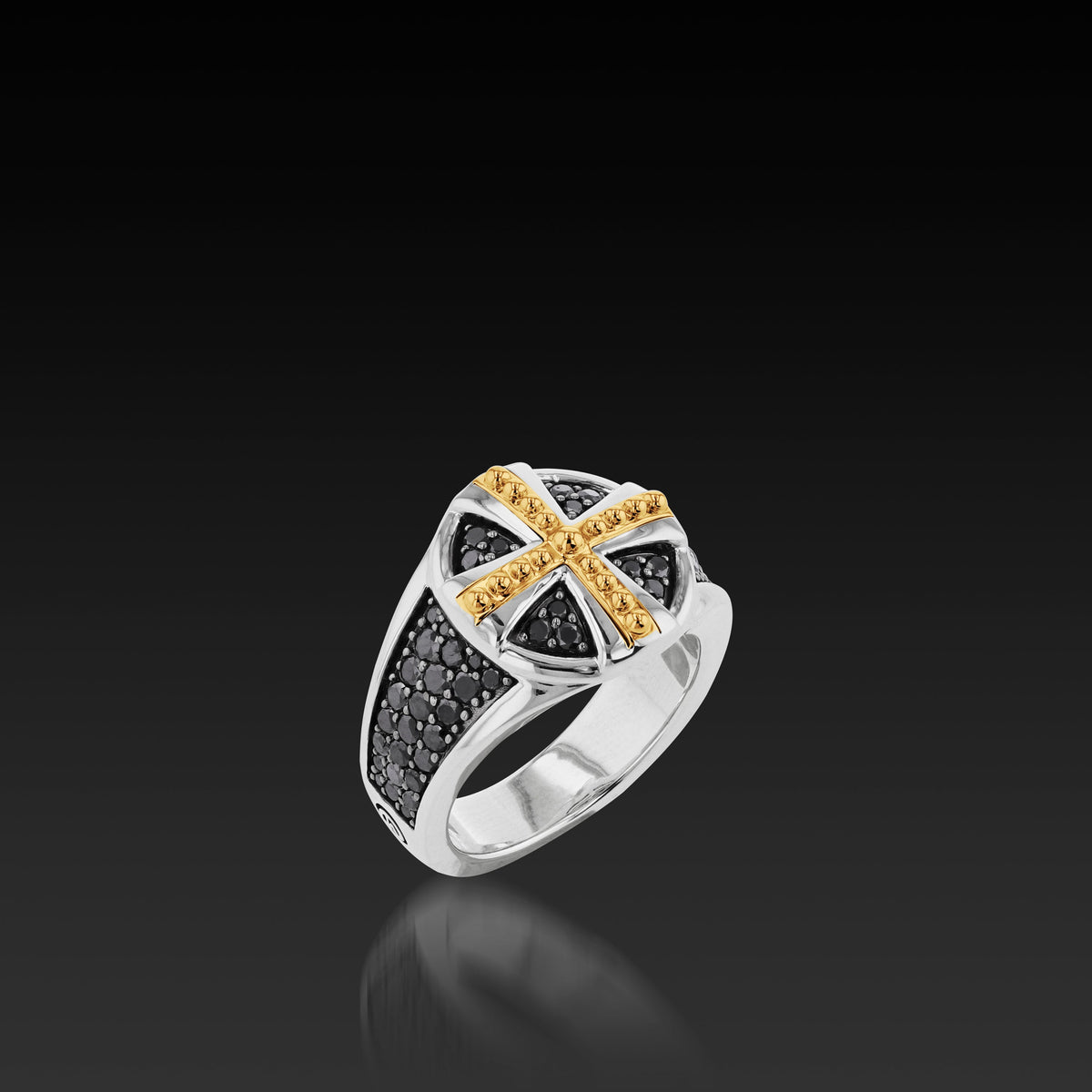 el-rmatrix6-mens-matrix-ss-silver-bkdi-ring-1.jpg