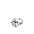 el-rsahara3-r-sahara-ss-di-silver-ring-2.jpg