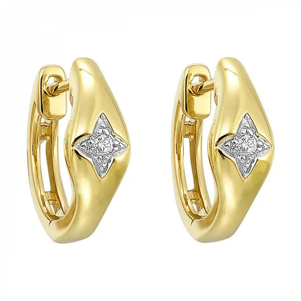 14Kt Yellow Gold Diamond 1/20Ctw Earrings
