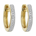 14Kt Yellow Gold DIA 1/20Ctw Earrings