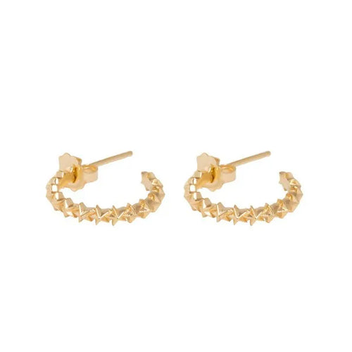 10k Gold Super Micro Star Earrings