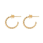 10k Gold Super Micro Star Earrings
