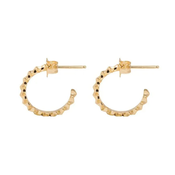 10k Gold Super Micro Star Earrings