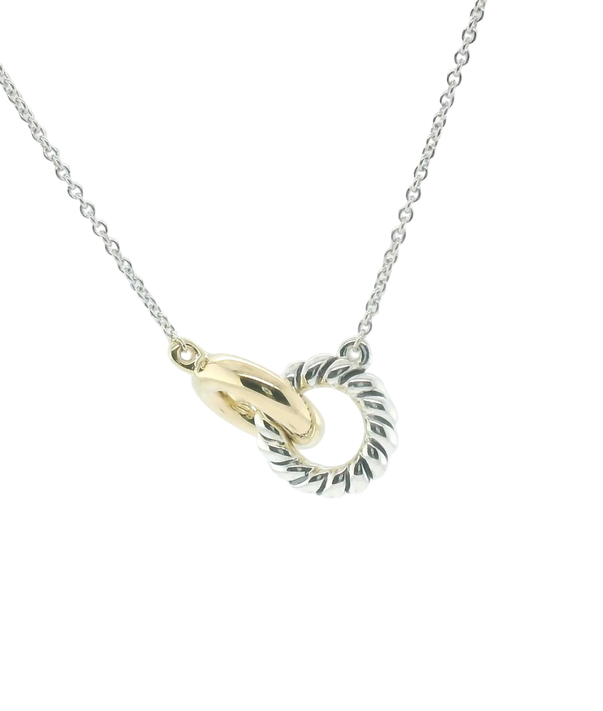 Perfect Love Two-Tone Eternal Ring Necklace