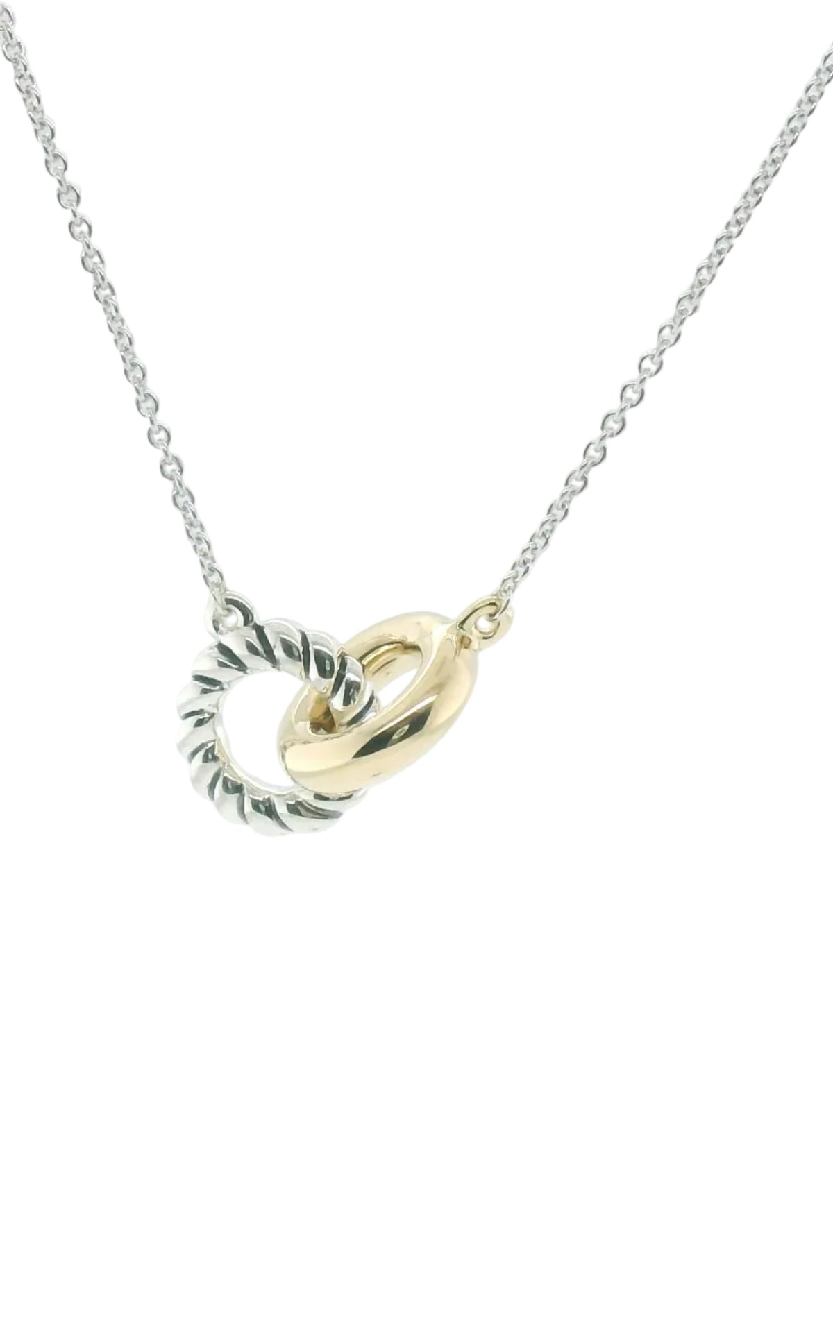 Perfect Love Two-Tone Eternal Ring Necklace