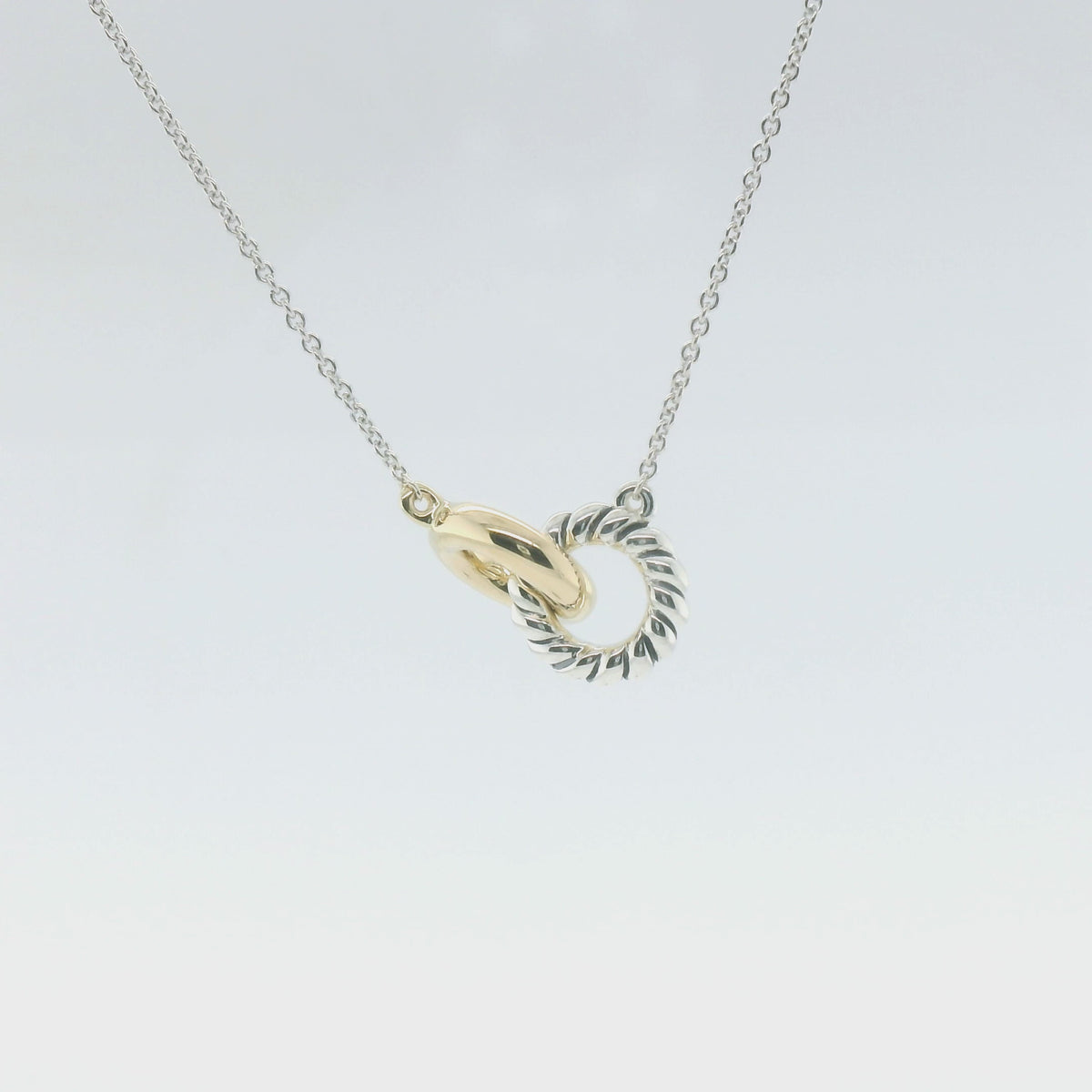 Perfect Love Two-Tone Eternal Ring Necklace