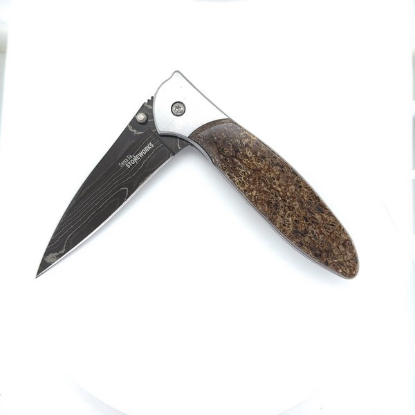 DDINO66